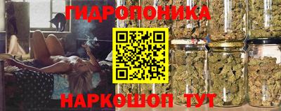 молекула духа Ярцево