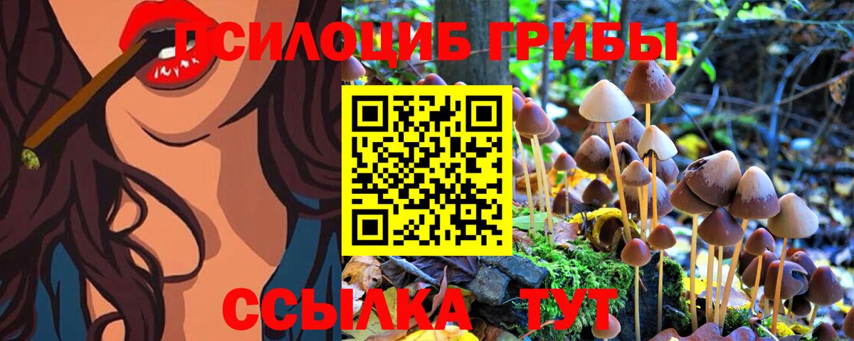 Псилоцибиновые грибы Psilocybe Заволжье