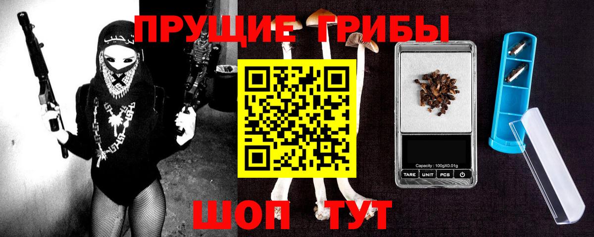 Псилоцибиновые грибы прущие грибы  Вход с VPN  Заволжье 